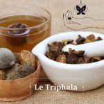 Le Triphala en Ayurvéda