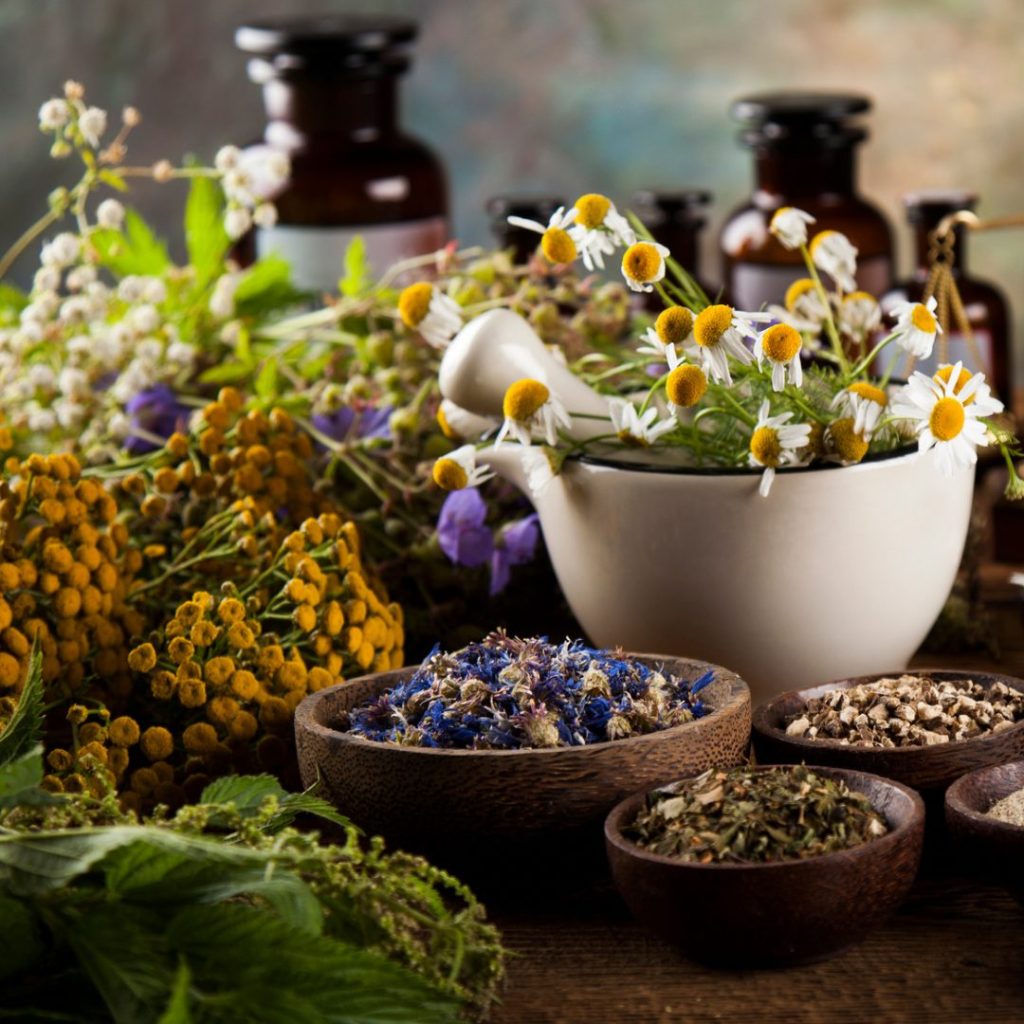 Phytothérapie - Plantes et compléments Alimentaires
