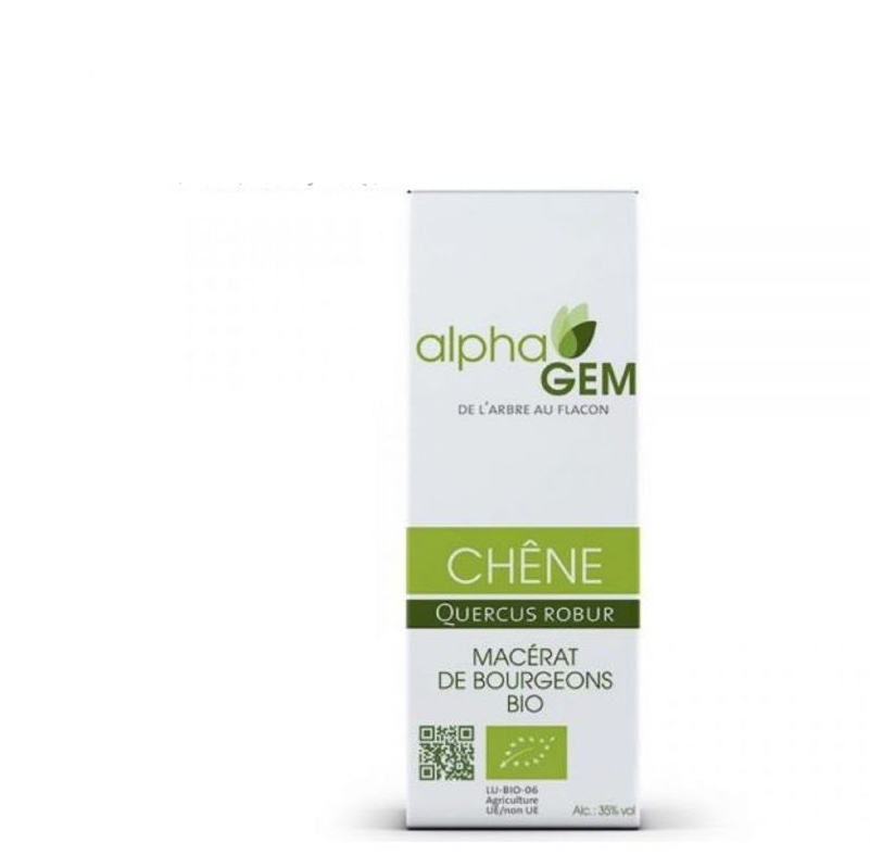 macerat-chene-50ml-alphagem_pause-nature_800x800