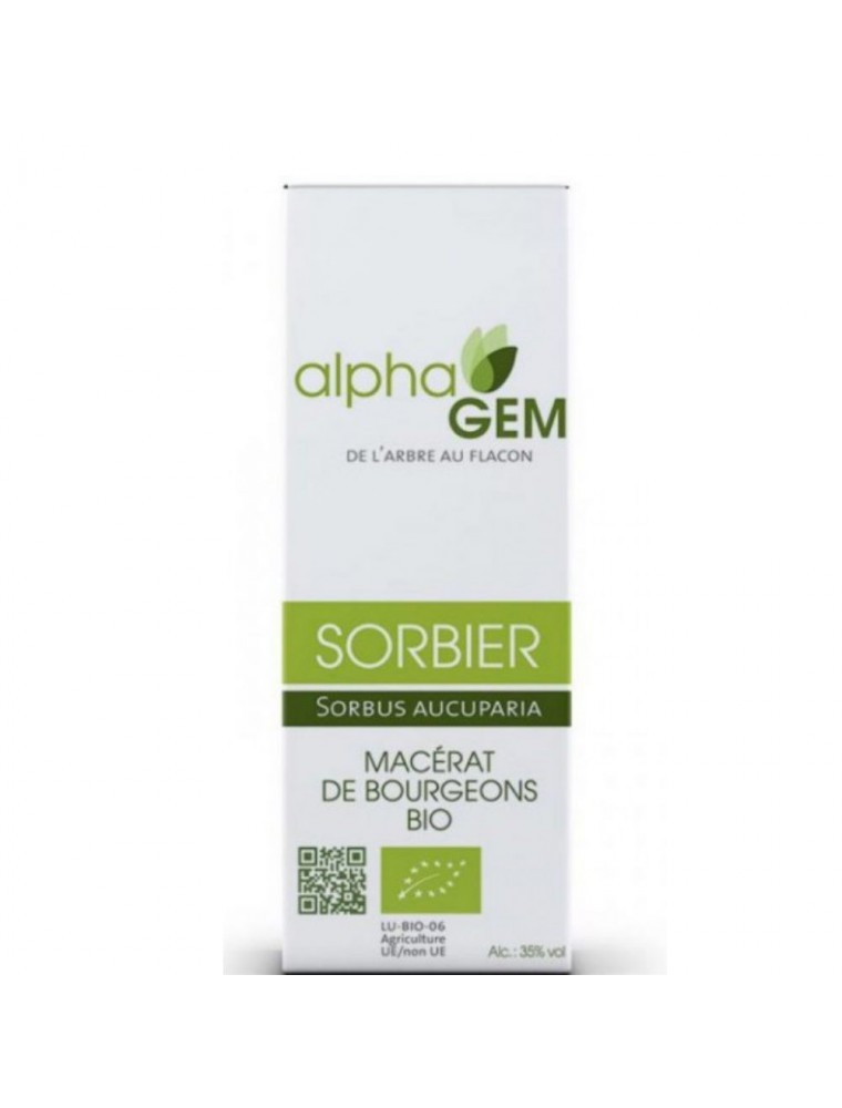 sorbier-macerat-de-bourgeons-bio-sorbus-aucuparia-50-ml-alphagem-pause-nature-800x800